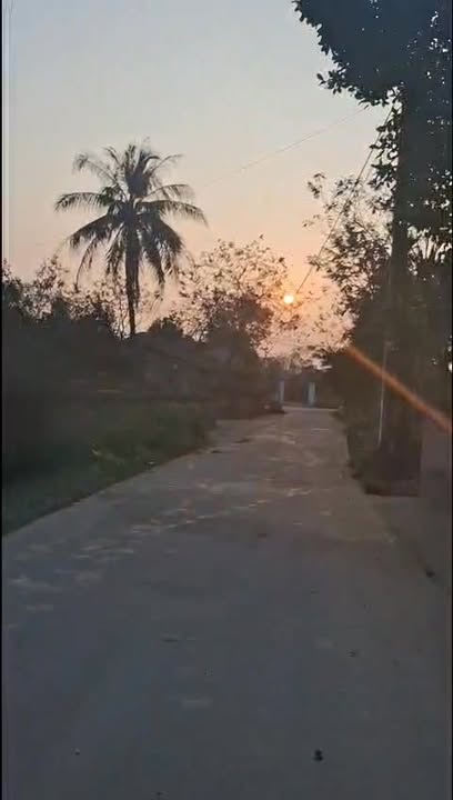 Đất nền Hạ Hòa, Phú Thọ 309.8m² - Sổ đỏ chính chủ, tiềm năng sinh lời!