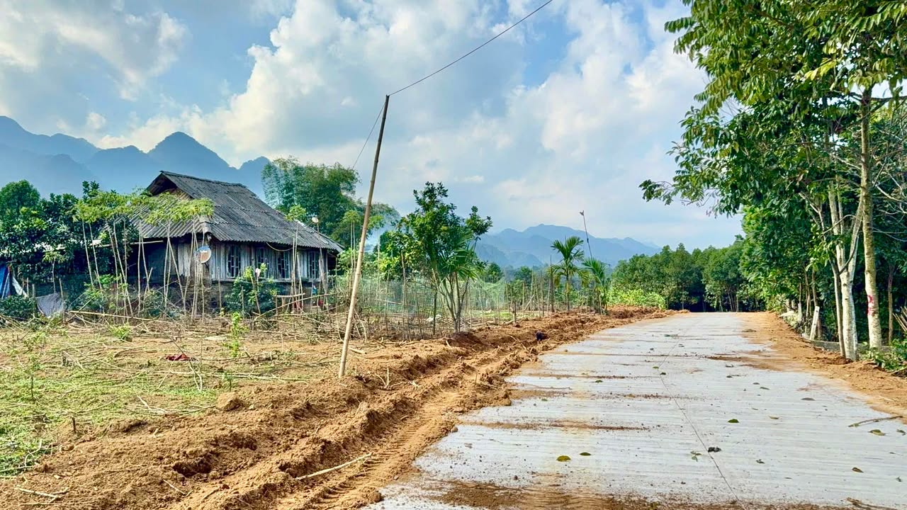 Đất Nền Hòa Bình 1132m² - Mặt Đường Bê Tông, Sổ Đỏ Riêng, Giá 700 Triệu