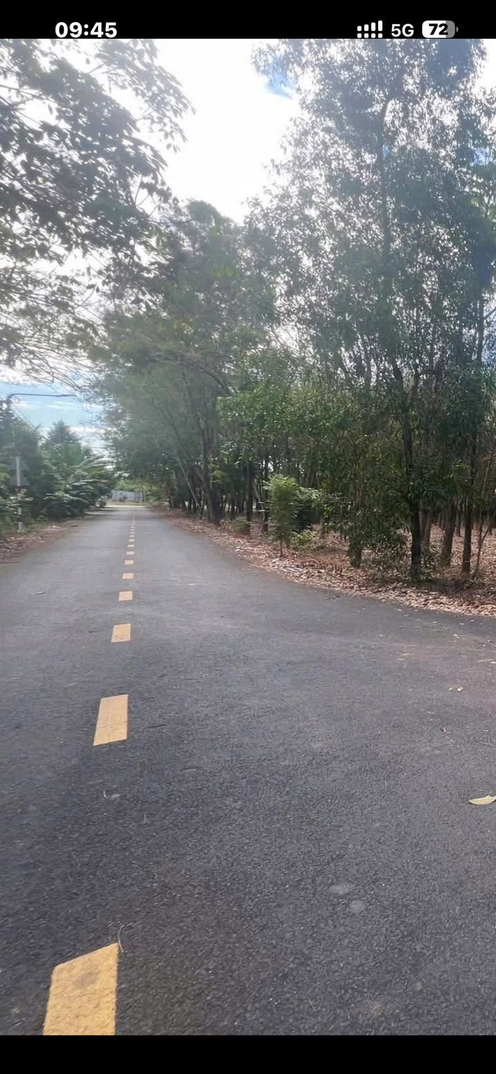 Đất Nền Mỹ Phước Bến Cát 114m² - Tiềm Năng Tăng Giá Vượt Trội!