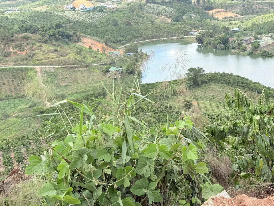 Bán đất vườn Đam Rông 11.000m² mặt tiền QL27 - Sổ hồng chính chủ