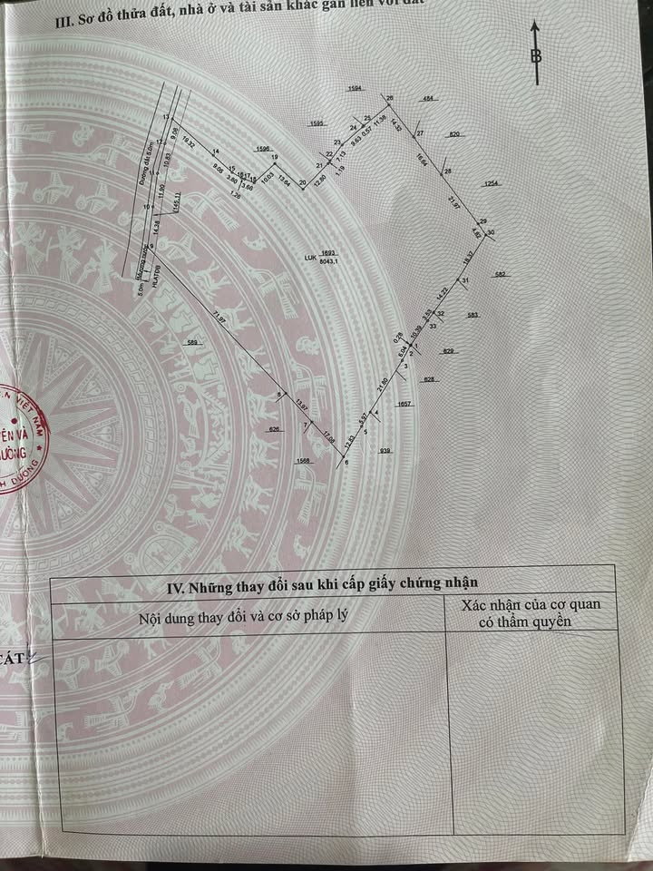 Đất Vườn 8.000m² Long Nguyên, Bàu Bàng – Mặt Tiền Đường Nhựa, Đầu Tư Dài Hạn