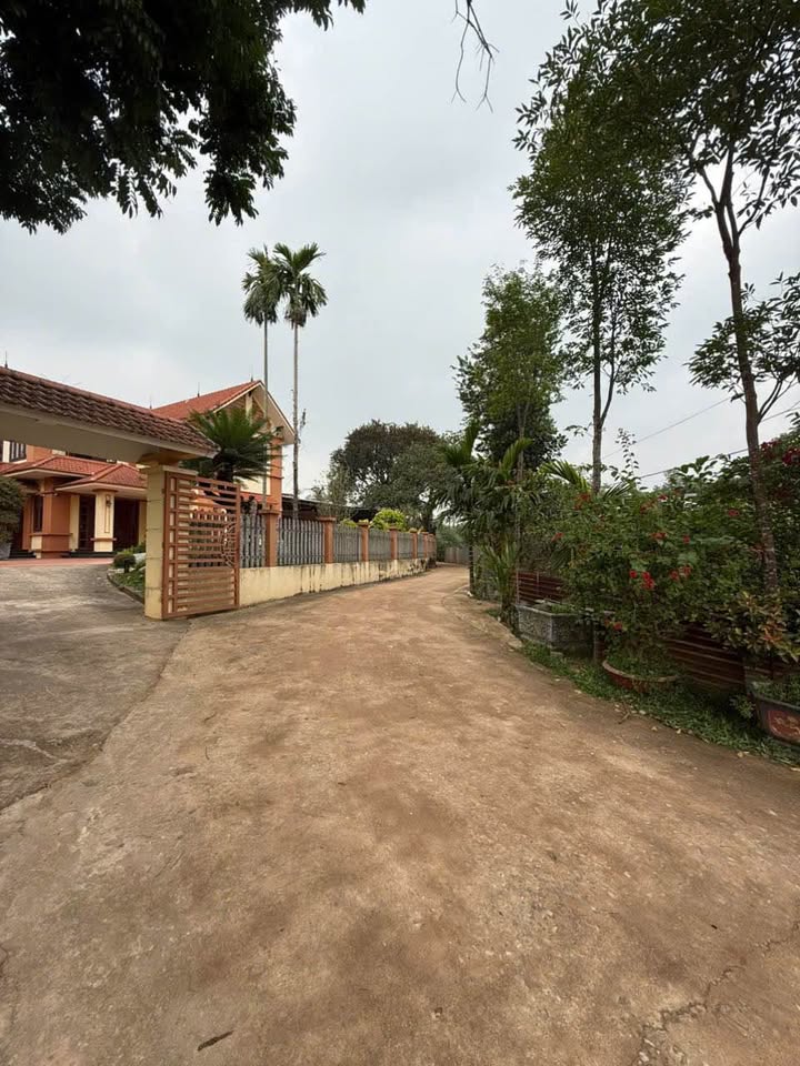 Đất nền Xã Huống Thượng 480m² - Tiềm năng tăng giá vượt trội!