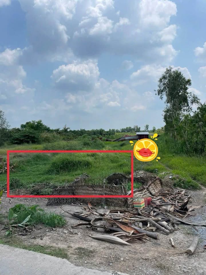 Đất Nền 172m² Đông Thạnh, Vĩnh Long - Giá Đầu Tư 550 Triệu