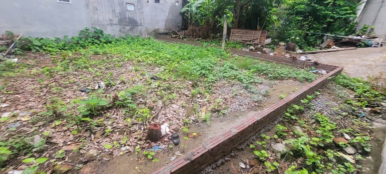 Đất nền Tu Hoàng, Bắc Từ Liêm 50m² - Sổ đỏ chính chủ, tiềm năng sinh lời!