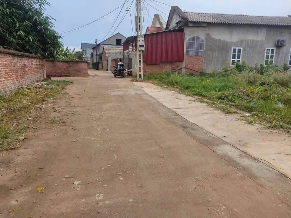 Đất nền Tam Nông Phú Thọ 156m² - Tiềm năng tăng giá vượt trội!