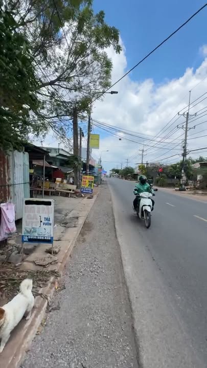 Mặt Tiền Kinh Doanh Nguyễn Hoàng Trảng Bom 385m² - Giá Tốt 3.8 Tỷ