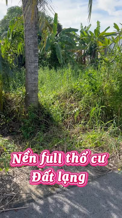 Đất Thổ Cư 134m² Mặt Tiền Lộ Nhựa 5m, Sổ Hồng Sẵn, Gò Quao - Kiên Giang