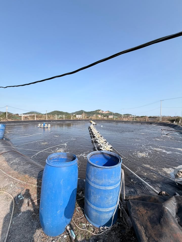 Đất nuôi tôm Ninh Hòa 6.302m² 3,5 tỷ - Sổ đỏ chính chủ