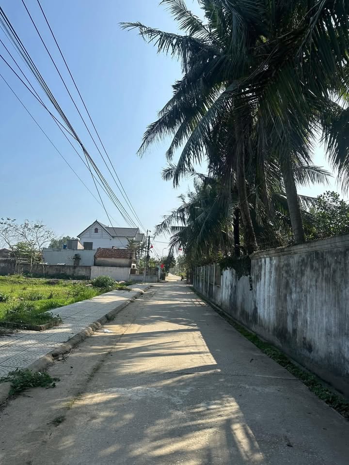 Đất Nông Cống 265m² - Sổ Đỏ Rõ Ràng, Gần Chợ & Trường Học