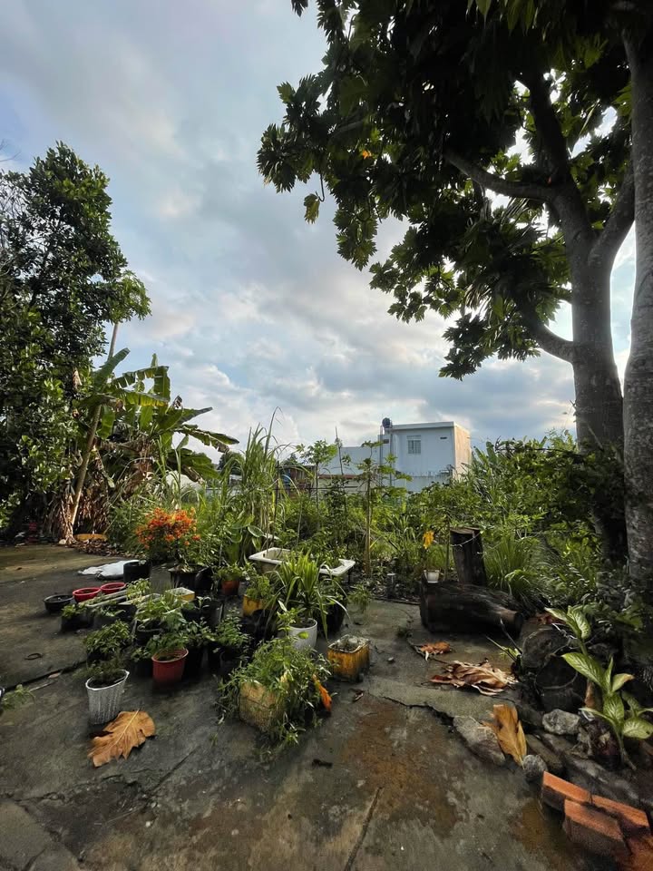 Bán Nền Vĩnh Long 92m² Hướng Đông - Gần KCN Cầu Cần Thơ