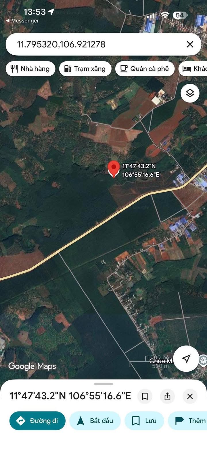 Bán Gấp Farm 20.000m² Bình Phước - Sổ Đỏ Sẵn Sàng