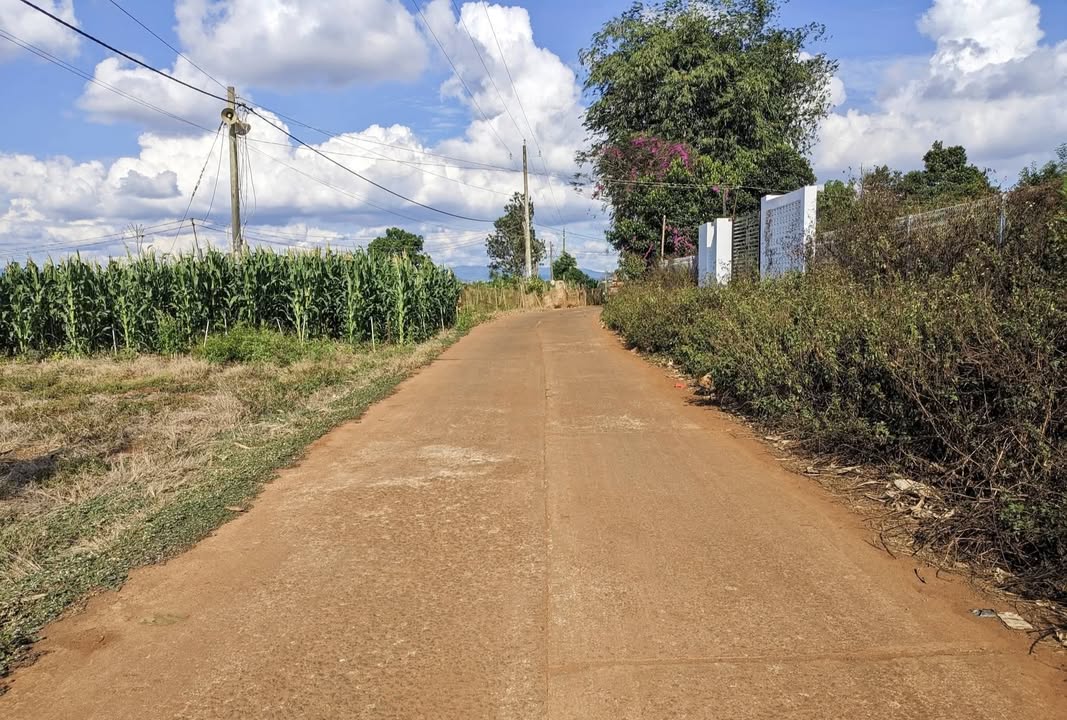 Đất vườn Tân Hội Đức Trọng 1000m² giá 980 triệu - Sổ đỏ chính chủ!