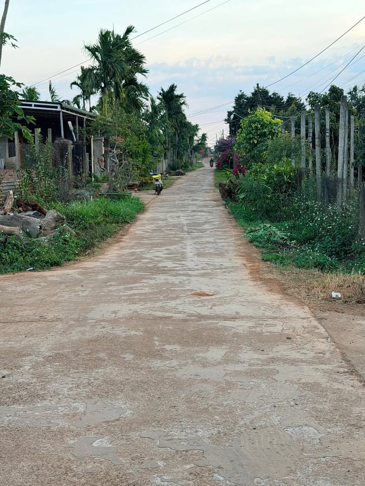 Đất Nền Phú Xuân Krông Năng 228m² Sổ Đỏ Chính Chủ - Giá 350 Triệu