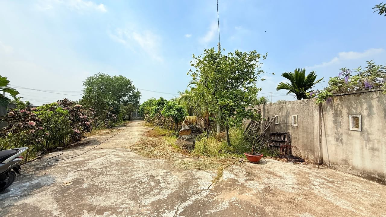 Nhà Vườn Nghỉ Dưỡng 1200m² Mỹ Hạnh, Long An - Sổ Đỏ, Giá 7.5 Tỷ