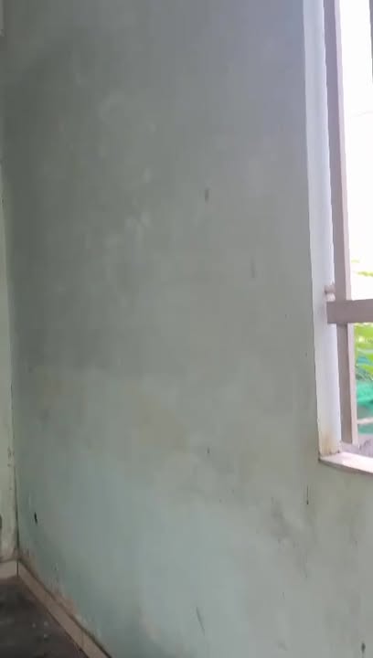 Nhà Cấp 4 Ấp Rừng Dầu, Đức Hòa 100m² - Giá 2.5 Triệu/Tháng Sẵn Ở Ngay