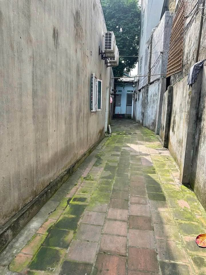 Đất Vĩnh Yên 428m² mặt tiền 12m - Cạnh Phố Ăn Đêm, Giá 21.4 Tỷ