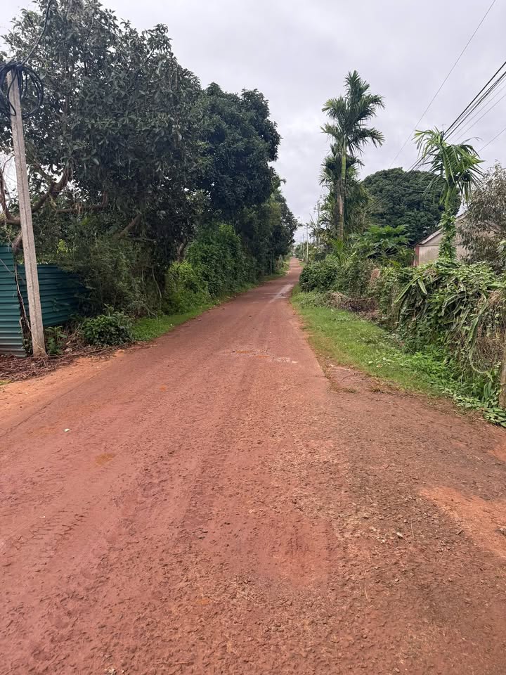 Đất Nền Pơng Drang, Đắk Lắk - 300m² Sổ Hồng Sẵn Sàng