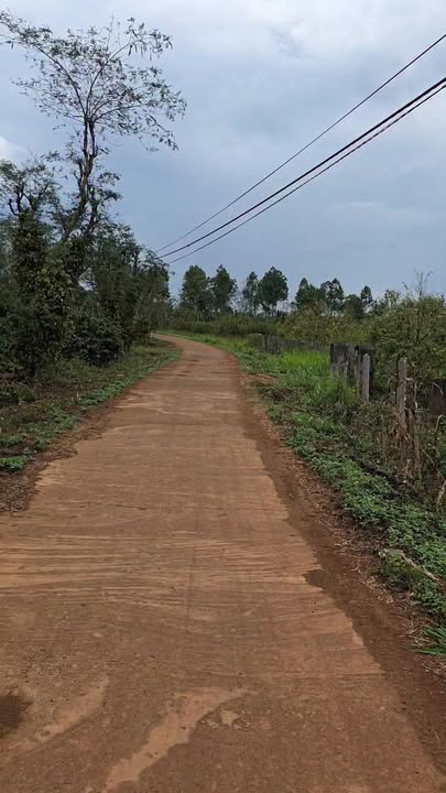 Đất Nền Phú Xuân - 870m² View Đẹp, Mặt Đường Bê Tông, Giá 870 Triệu