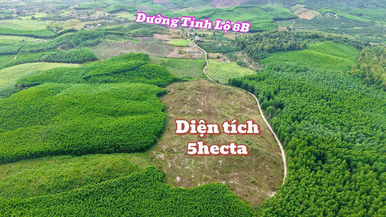 Đất vườn Khánh Vĩnh 5ha giá 7.5 tỷ - Nghỉ dưỡng lý tưởng!