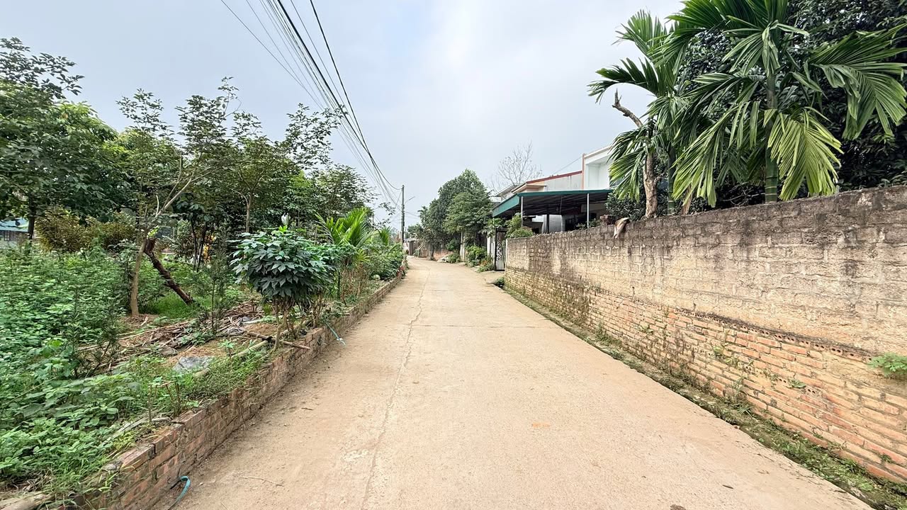 Đất nền Vân Phú Việt Trì 100m² - Tiềm năng tăng giá cực cao!