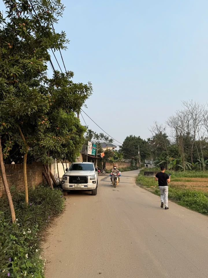 Đất nền Tứ Yên Sông Lô 100m² giá 1.3 tỷ - Tiềm năng tăng giá cao