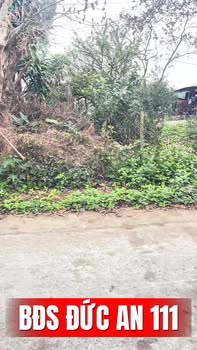 Đất Nền Thôn Đại Đồng 1, Tiên Du, Bắc Ninh - 179m² Sổ Đỏ Chính Chủ