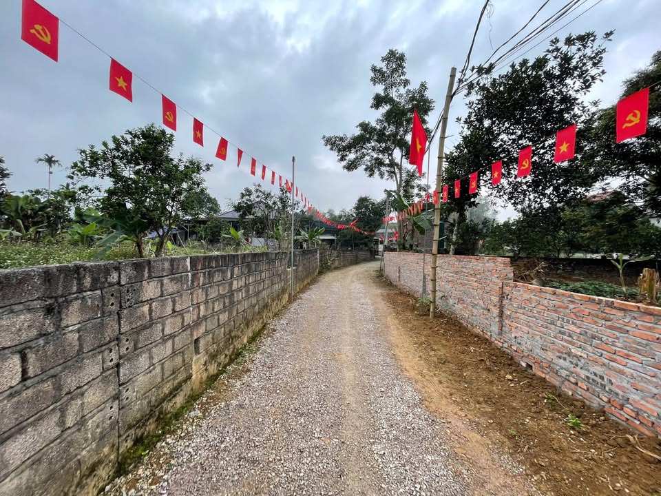 Bán đất Lương Sơn Hòa Bình 245m² - Lô góc 2 mặt tiền, hướng ĐN