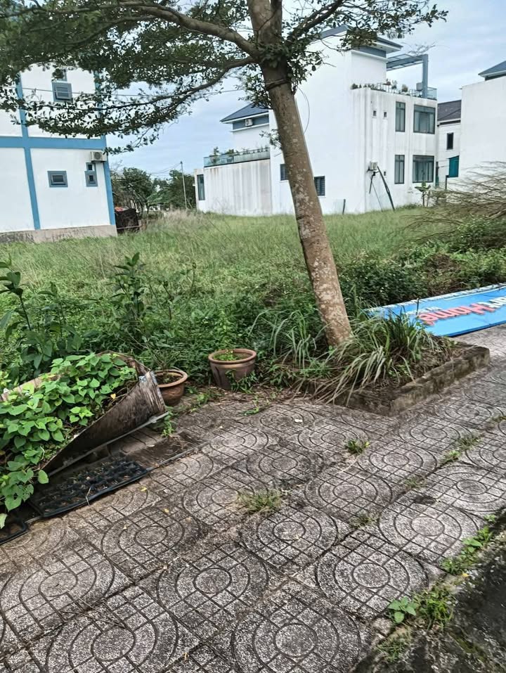 Đất Nền 200m² Nghi Thu, Vinh - Sổ Đỏ Sẵn Sàng, Cơ Hội Đầu Tư Vàng