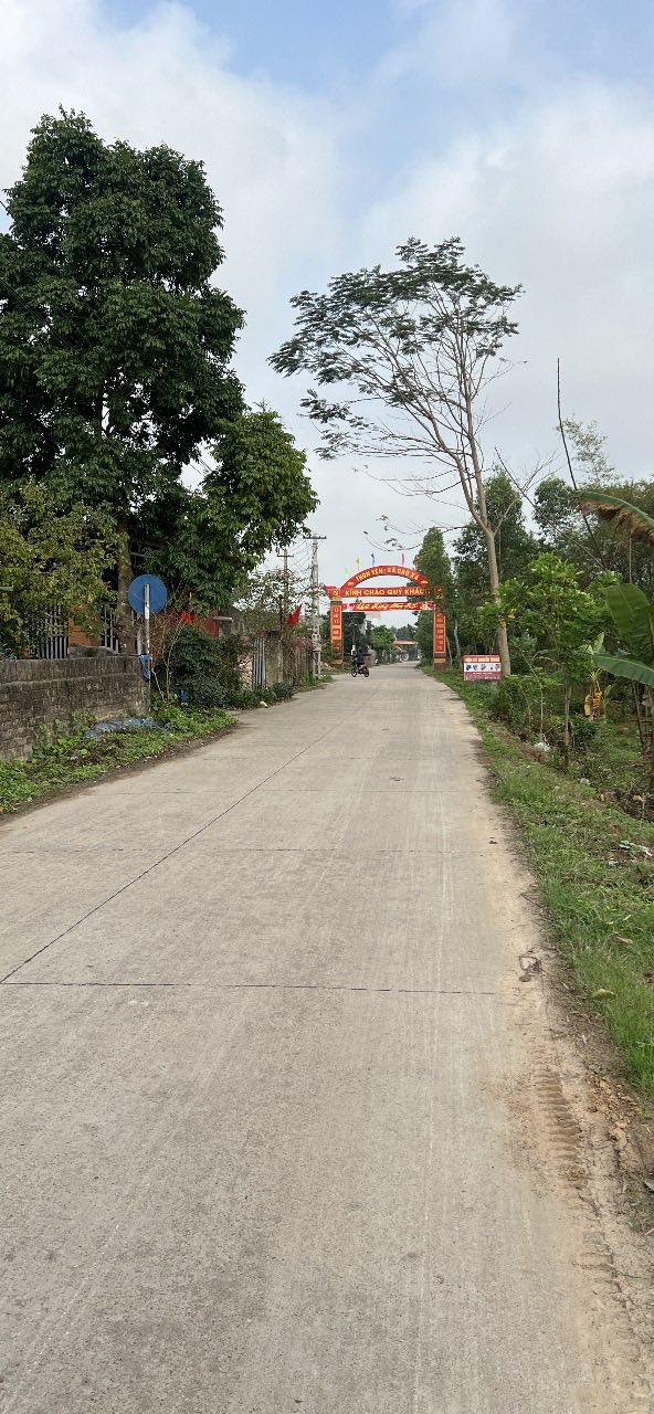 Đất nền Cao Xá Tân Yên 126m² - Kinh doanh tấp nập, tặng nhà C4!