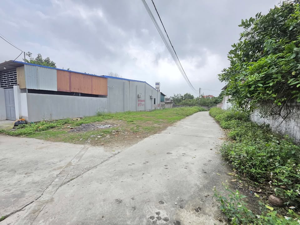 Đất nền Lương Phong, Hiệp Hòa 100m² - Lô góc, tiềm năng tăng giá!