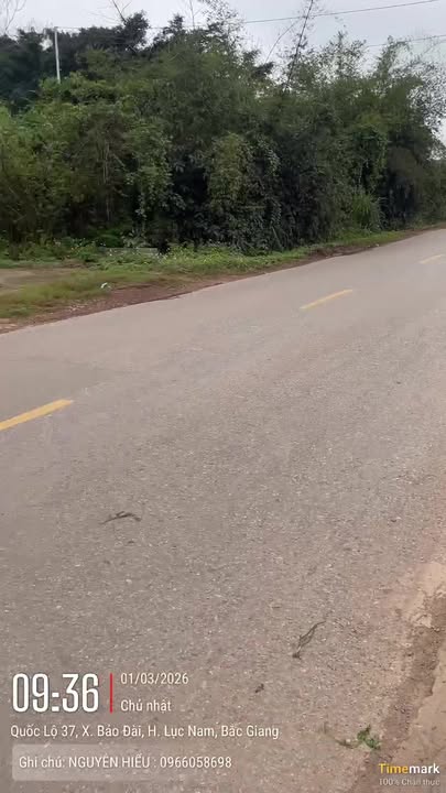Đất Nền Quốc Lộ 37 Bắc Giang - 95m² Sổ Đỏ, Kinh Doanh Sầm Uất