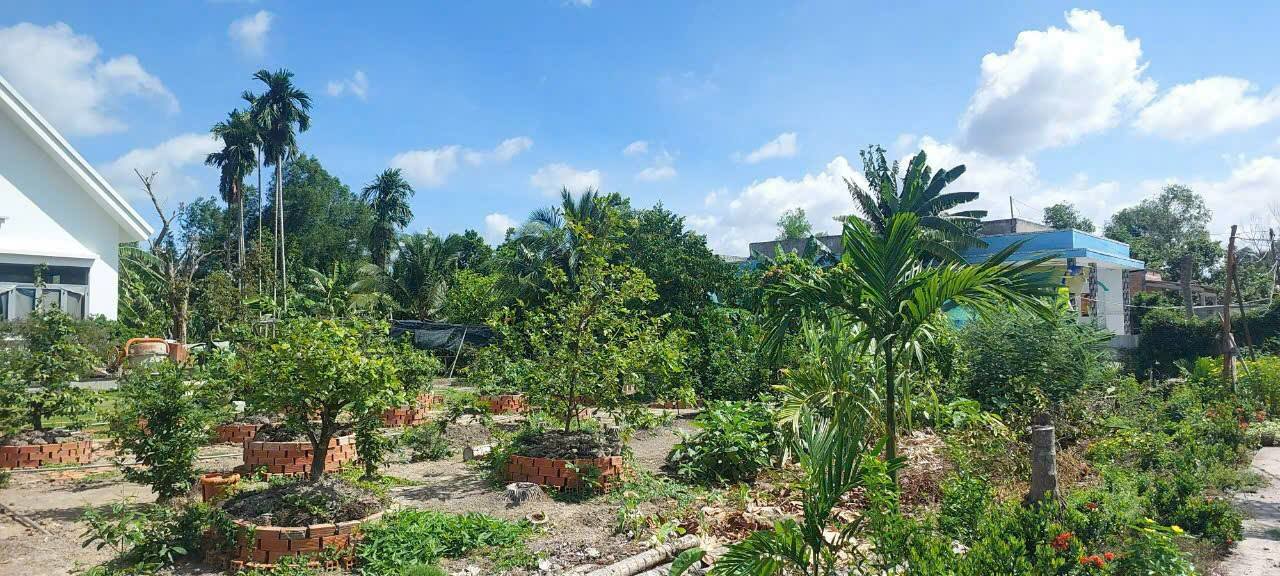 Đất nền Bến Lức 574m² giá 1.35 tỷ - Đất thổ cư 100%!