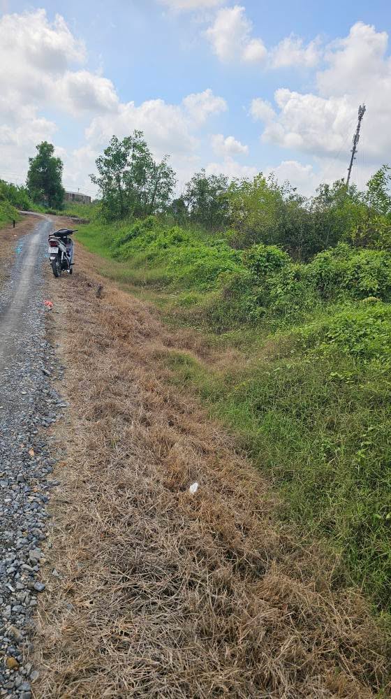 Đất nền sổ hồng 100m² gần Tỉnh lộ 824, Đức Hòa - Giá 500 triệu