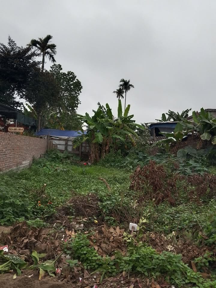 Đất Nền Nam Tả, Vĩnh Bảo, Hải Phòng - 100m² Hướng Nam, Giá Tốt