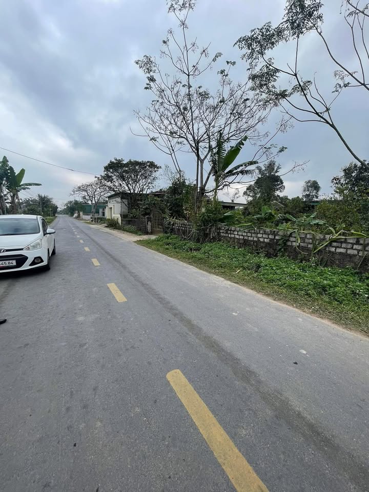 Đất Quỳnh Tam 189m² Tỉnh Lộ 538 - Sổ đỏ chính chủ, đầu tư vàng!