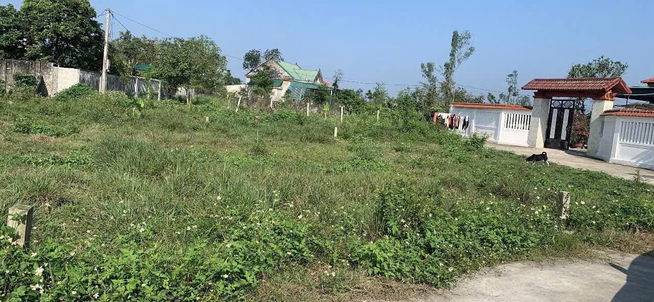 Đất nền Nghi Trường 114m² chỉ 900 triệu - Tiềm năng tăng giá!