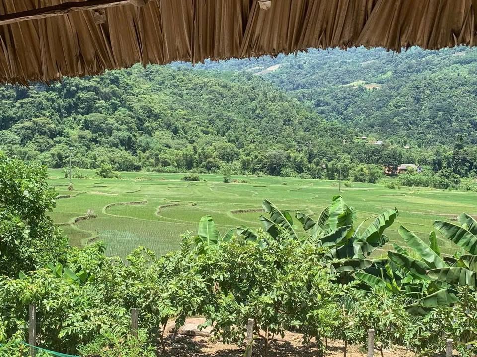 Đất nền Tiến Thắng, Hà Giang 2000m² view đồng lúa - Sổ đỏ chính chủ