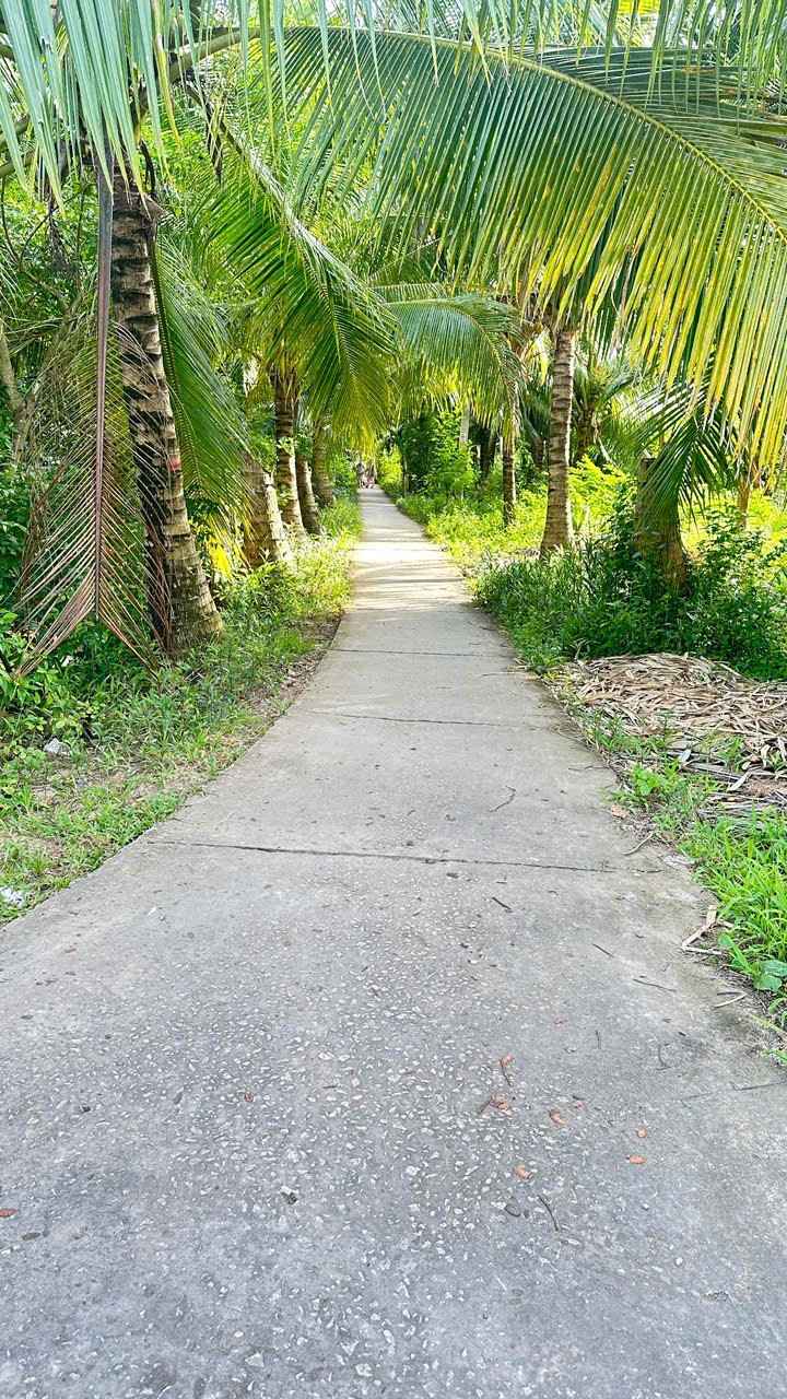 Bán đất Thuận Điền, Bến Tre 287m² - Gần chợ, đường xe hơi