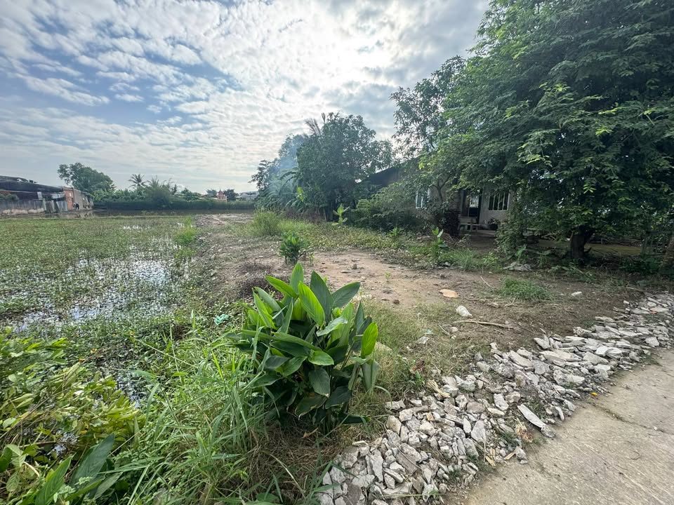 Đất nền Phước Lý, Tây Ninh 312m² – Sổ đỏ chính chủ, đường ô tô!