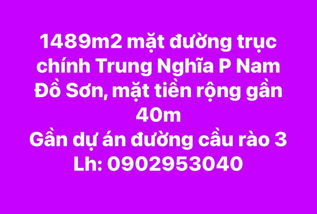Đất Vàng Đồ Sơn - 1489m² Mặt Tiền Rộng 40m, Vị Trí Đắc Địa