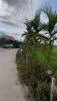 Đất Vườn Duy Xuyên 290m² - View Lúa Thoáng Mát, Đường Ô Tô