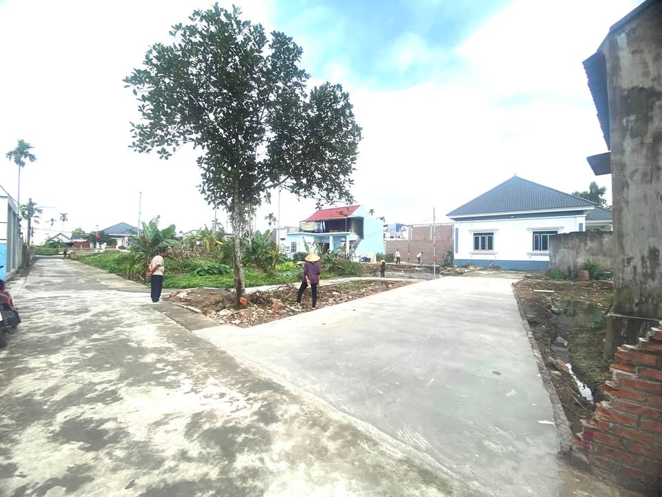 Đất nền Kiều Hạ 2, An Lão 50m² - Đường to ô tô