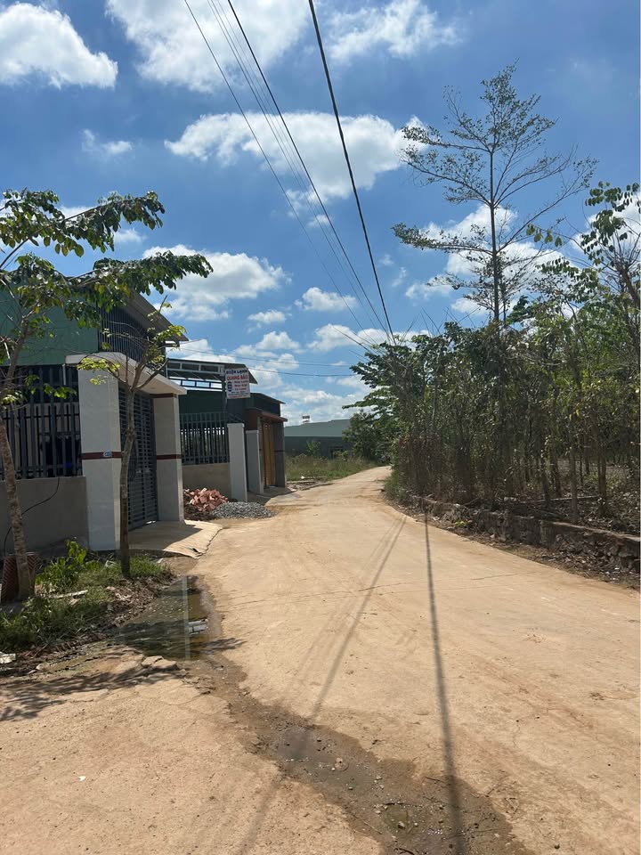 Đất nền Chợ Sông Trầu, Trảng Bom 699 triệu - Sổ đỏ sẵn sàng!