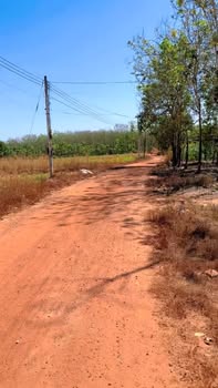 Đất Nền Minh Hoà Dầu Tiếng 700m² Sổ Đỏ Sẵn Sàng - Giá 499 Triệu