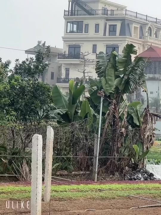 Đất Vạn Thắng, Ba Vì 178m² - View Đồng Thoáng Đãng, Sổ Đỏ Sẵn Sàng