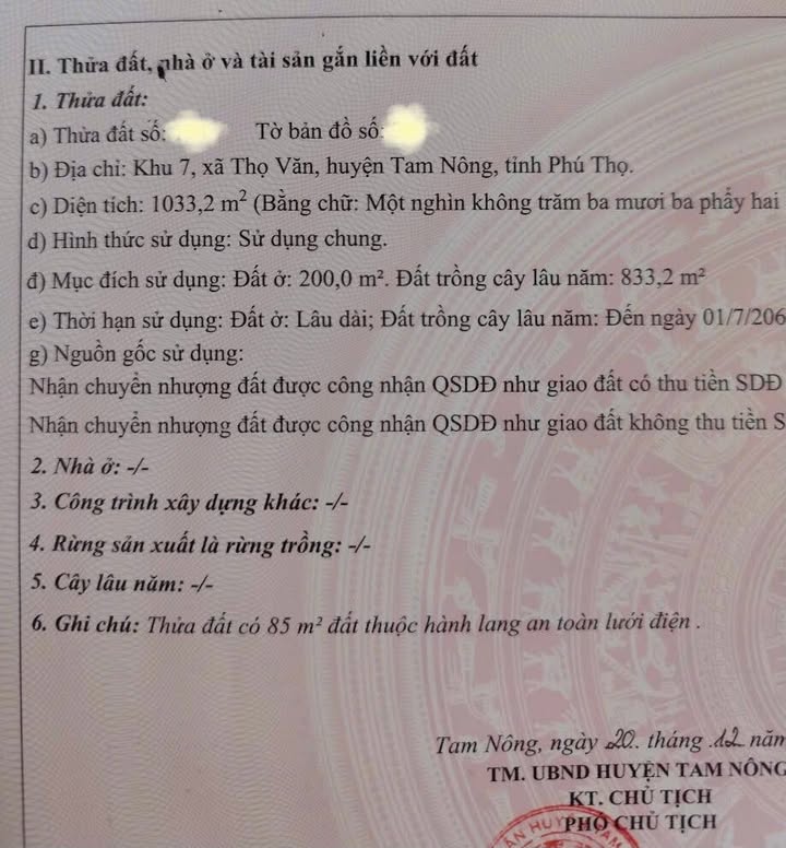 Bán Gấp Đất Nền 1033m² Xã Thọ Văn, Tam Nông - Sổ Đỏ Rõ Ràng, Tách Thửa Tốt