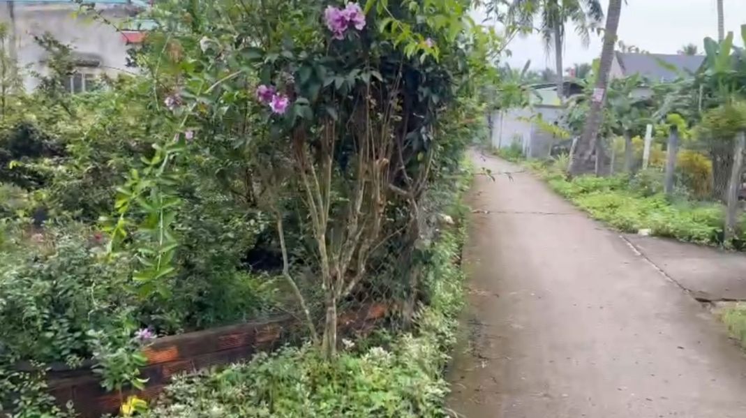 Bán đất vườn 500m² Xuân Đông, Chợ Gạo - Giá 620 triệu, Mặt tiền đường xe du lịch