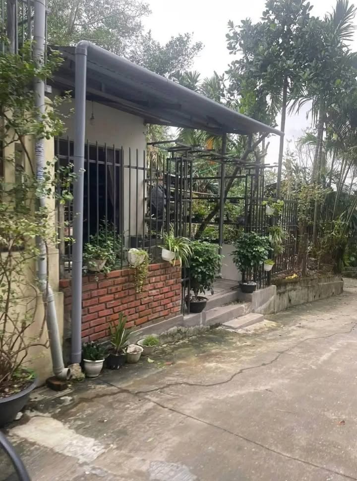 Nhà Cấp 4 Mặt tiền Quảng Tế, Huế 100m² - Vị trí đẹp, chính chủ bán!