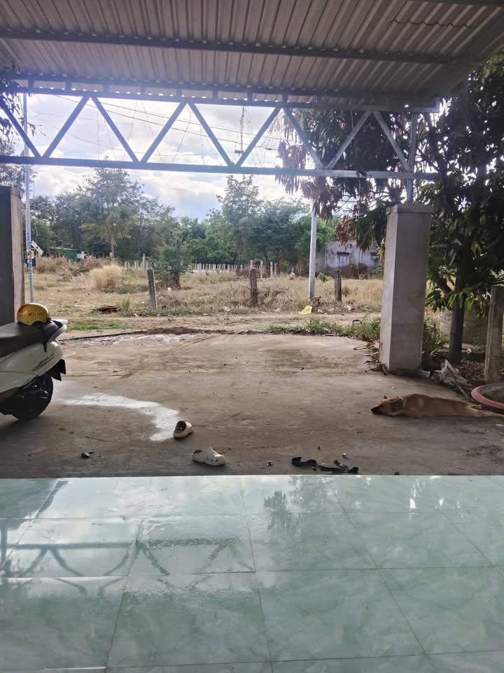 Bán Gấp Nhà Xã Hàm Trí, Bình Thuận - 279m² Giá Chỉ 199 Triệu