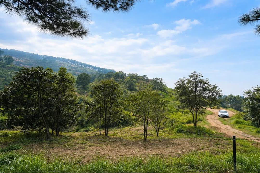 Đất Phường Cam Ly Đà Lạt 4.500m² giá 2,7 tỷ - Đường to ô tô